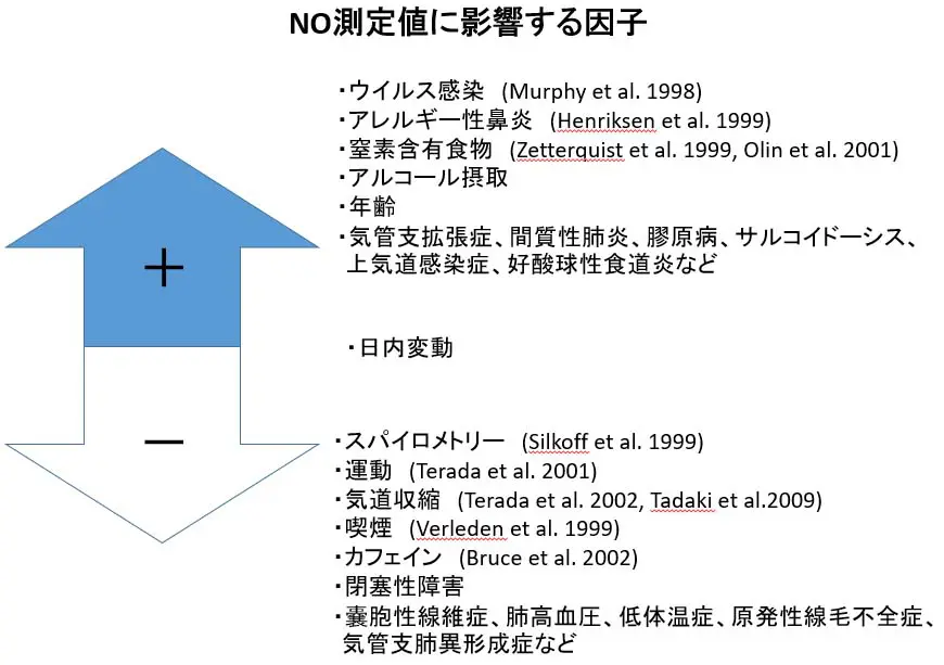 呼気一酸化窒素濃度 | 中村橋いとう内科クリニック